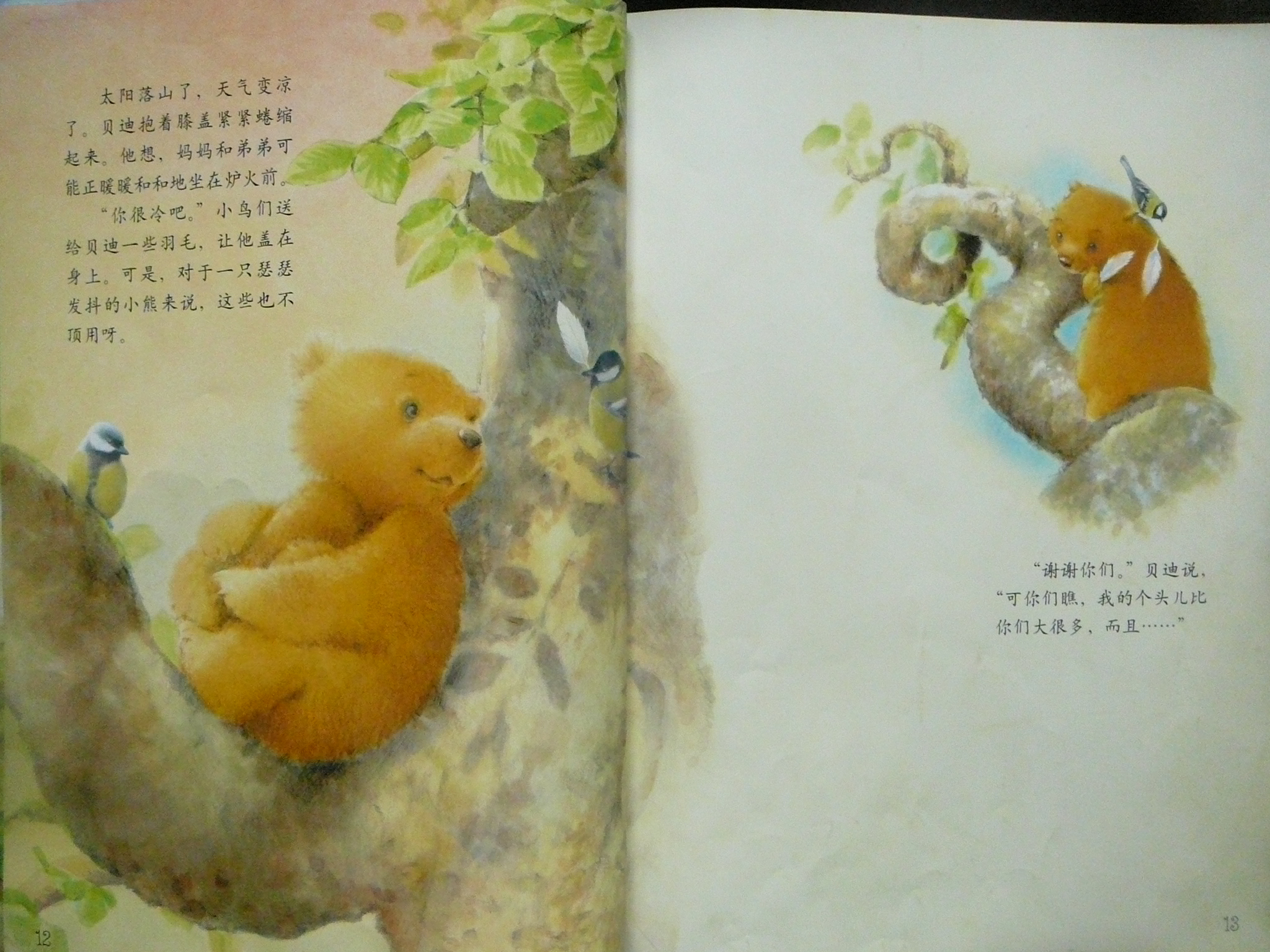 愿望树 (10),绘本,绘本故事,绘本阅读,故事书,童书,图画书,课外阅读